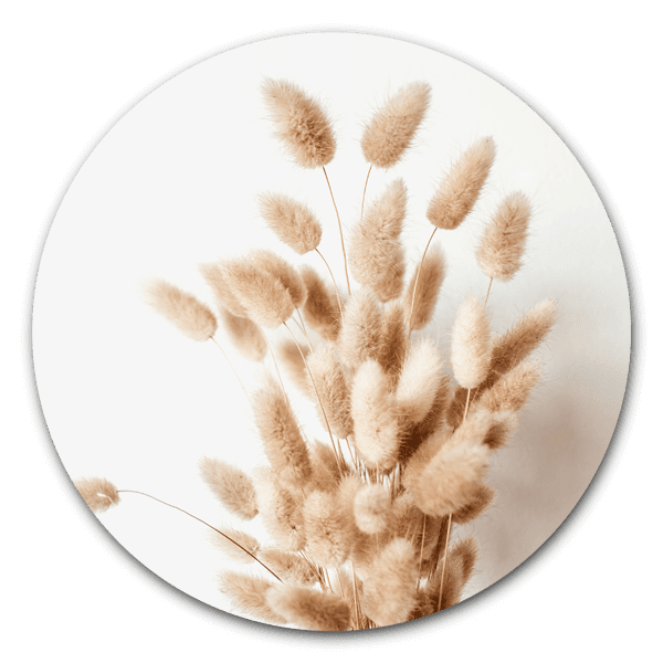 Bunny Tail Grass - ronde natuur muurdecoratie
