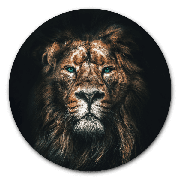 Muurcirkel Lion - dieren op ronde wanddecoratie.