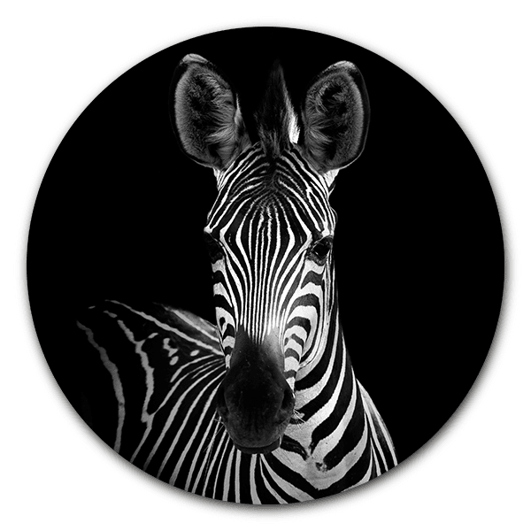 Muurcirkel Zebra Portrait
