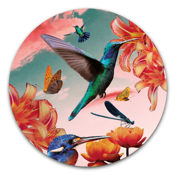 Muurcirkel hummingbirds with flowers