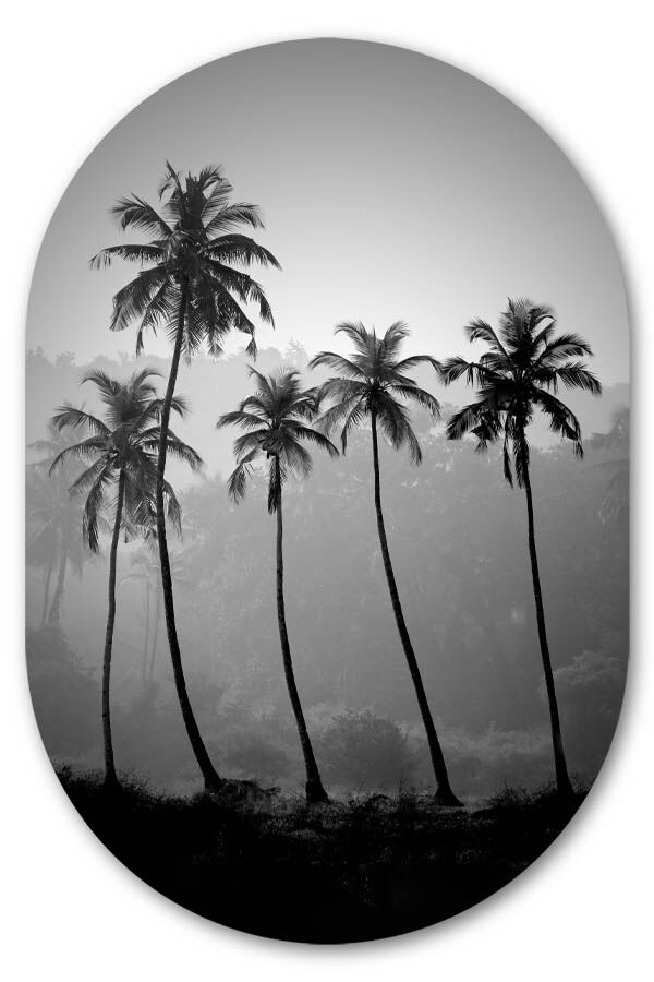 Muurovaal Palm Trees
