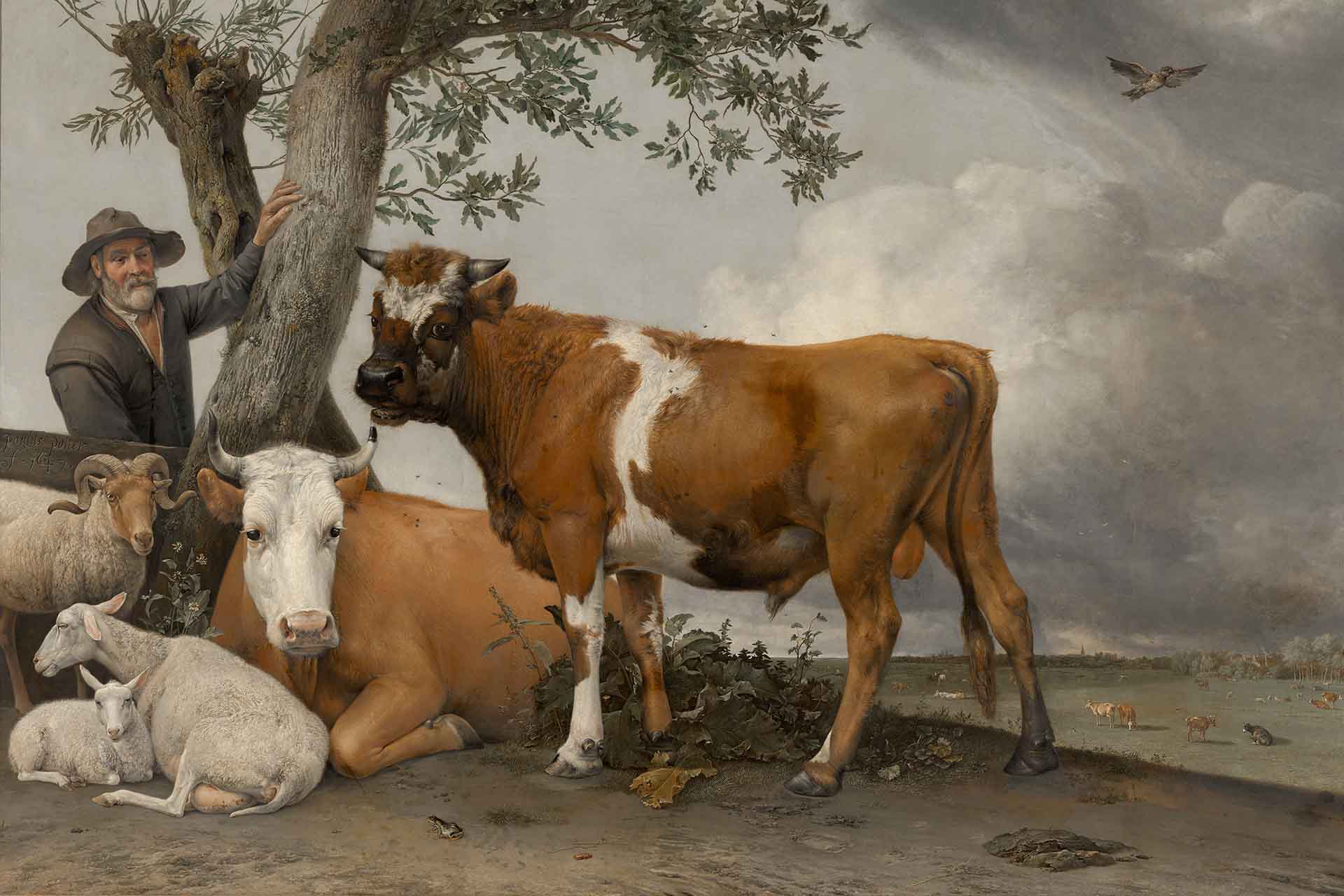 De stier van Paulus Potter