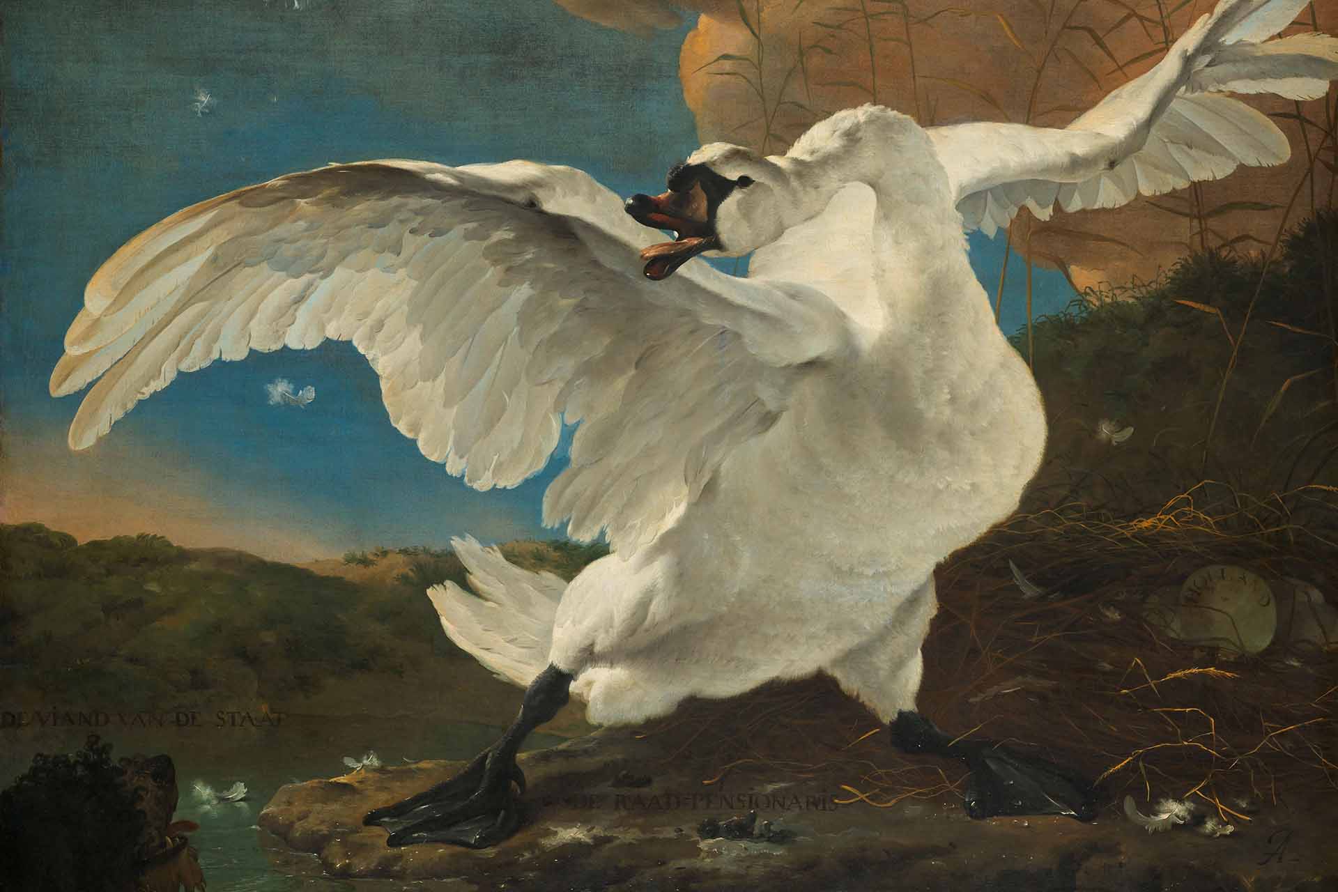 De Bedreigde Zwaan - Jan Asselijn