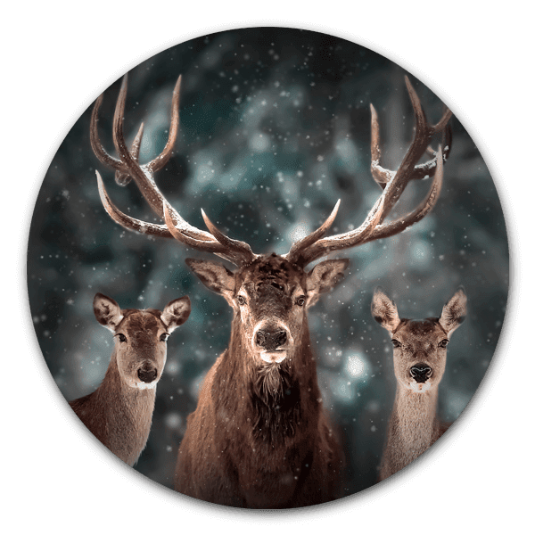 wandcirkel limited edition winter