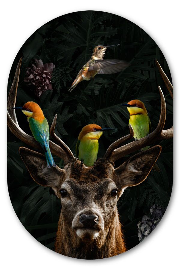 Muurovaal Deer with Birds