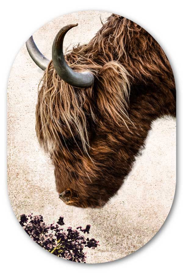 Muurovaal Vintage Highlander